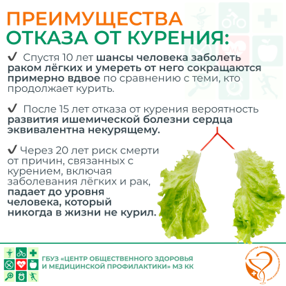 Твое здоровье 5
