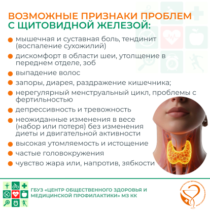 Твое здоровье 4